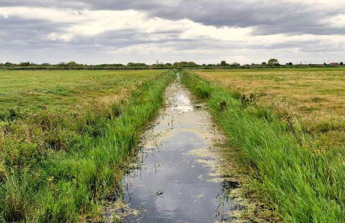 Trieste, 2 Bedroom, 6 Berth Caravan, Seasalter - Foto 29