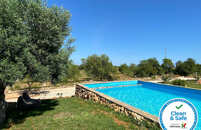 CIP V8 Gold - New!!! - Foto 1