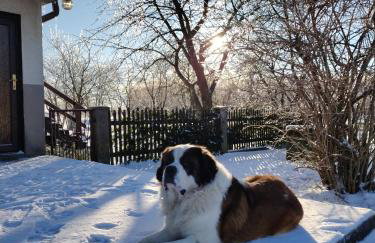 Siedlisko Jelonki - Foto 52