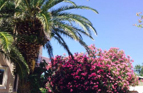 Apartments Esperanza - Foto 12