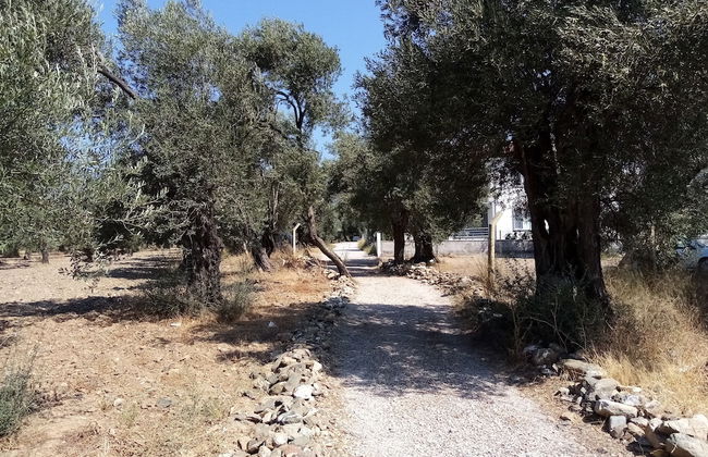 Yazduf Family Homes - Foto 43