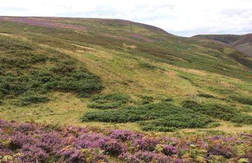Detached Cosy Cottage in Wooler, Northumberland - Photo 16