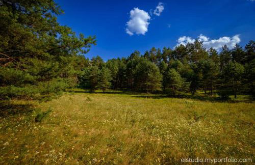 Orzechowy domek - Foto 48