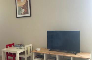 Les goélands - Foto 11