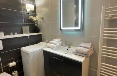 Studio-Champagne Lanson-Proche Hôpitaux-Universités-Parc Léo Lagrange - Foto 22