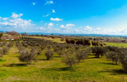 Agricampeggio La Piaggia - Agriturismo - Foto 28