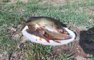 Pauza Drzewoszewo - Dom nad jeziorem - Foto 37