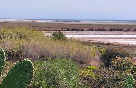 "Casa Oliveiras" studio avec terrasse et piscine - Foto 40