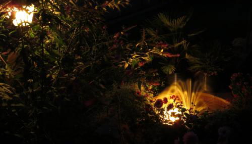 Ferienwohnungen Familie Schwarze - Foto 4