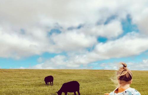 NORDSEE Bauernhof Familie Wulff FeWo "Südfall" - Foto 15