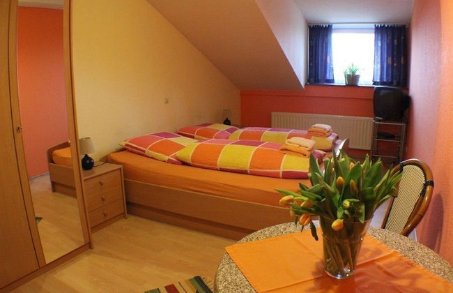 Reiterhof Koenning - Foto 4