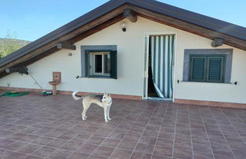 La terrazza - Foto 6