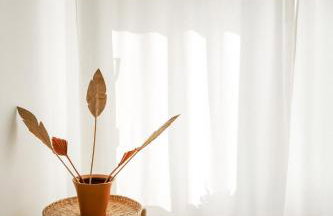 Kwintesencja Natury - Foto 18