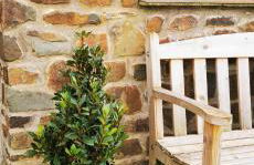 Bay Tree Cottage - cosy home near beach - Foto 1