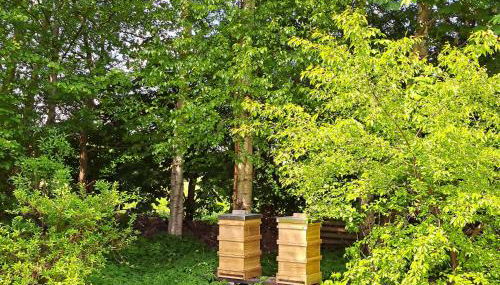 Huus de Freese 35224 - Foto 5