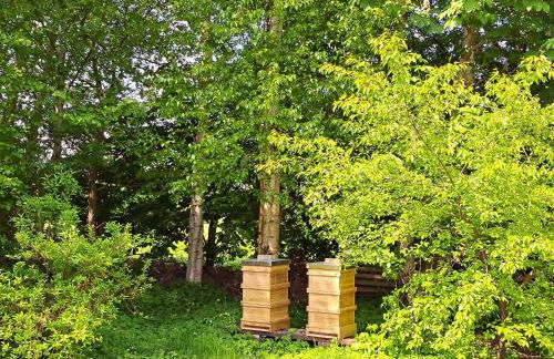 Huus de Freese 35224 - Foto 5