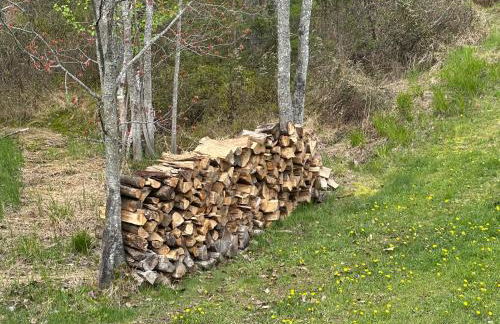 Log Cabin in the Woods - Foto 70