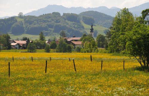 Ferienwohnungen im Alpengästehaus Marzoll - Bad Reichenhall, Adults only, keine Haustiere - Photo 12