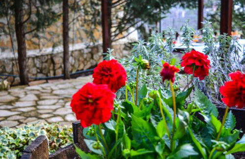 Εν Αρχή - En Arhi - Photo 22