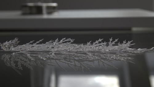 Destination Markgräfler Land - Foto 5