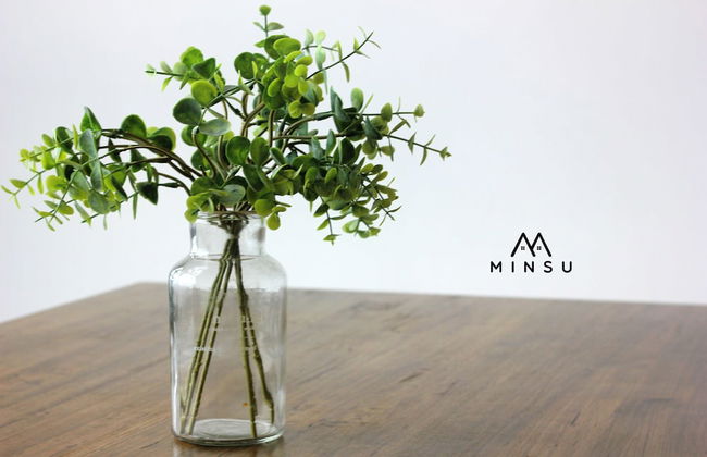 Minsu Ekocheras - Foto 57