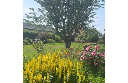 Maison Hestia - Foto 43