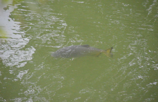 Hotel Lago das Pedras - Photo 39