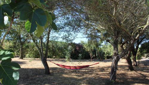 Olmedo Casa Vacanze - Foto 3, Garden, Garden view