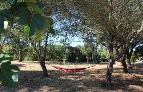 Olmedo Casa Vacanze - Foto 3