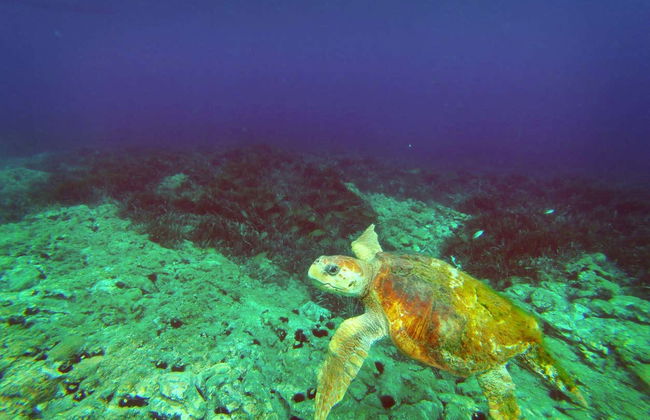 Kayak en el Cabo de Gata - Foto 12