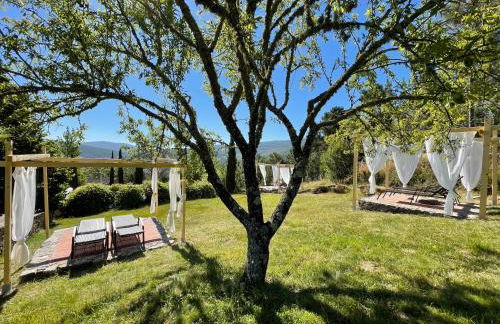 Quinta do Barrieiro - Art Selection by Maria Leal da Costa - Foto 37