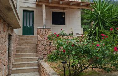 Apartments Elvira - Foto 8