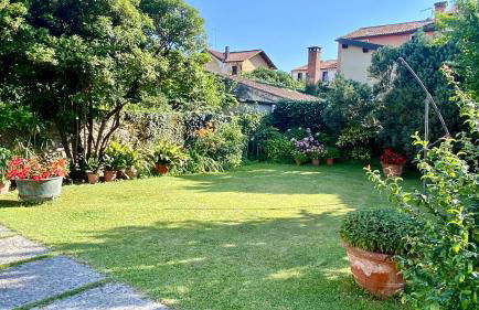 Regina dei fiori - Foto 5