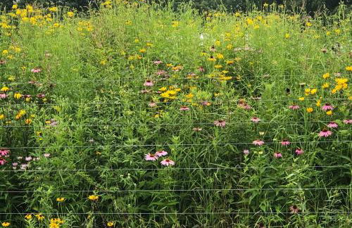 Historic Converted Barn Loft at Sobremesa Farm - Foto 23