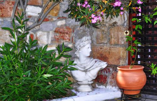 Ilios Studios - Foto 22