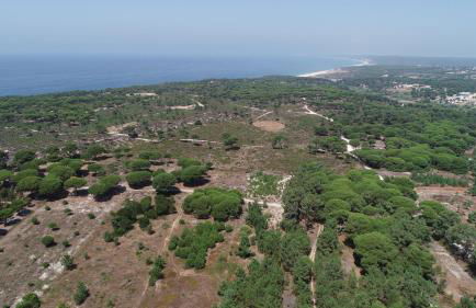 Villa Linda - Foto 41