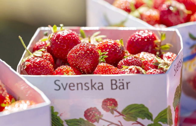 11 Person Holiday Home in Brosarp - Foto 17