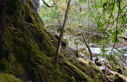 Caz-A-Verde - Foto 57