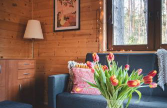 Leśna 21 Dom Południe przy PUSZCZA BIAŁOWIESKA - Foto 28