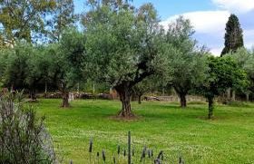 Rizaki Cottage in Nafpaktos - Foto 30