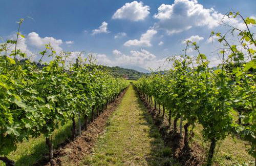 Agriturismo La Rocca - Foto 42