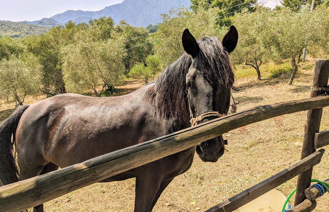 Il Rifugio del Contadino Country House - Photo 57