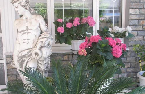 Blue Dream Hotel - Foto 35