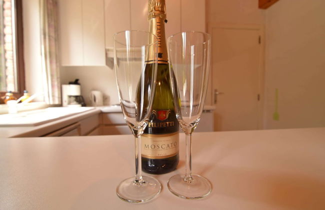 Pet Escape in Ardennes - Foto 27