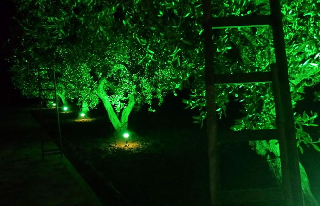 Agrisicilia - Foto 21