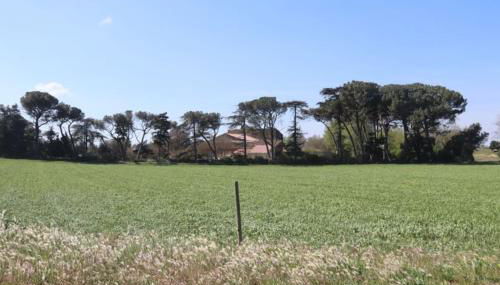 Bastide Juliana - Foto 5, Garden