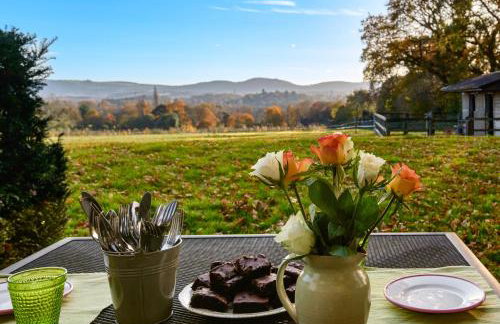 Stunning Cabin with incredible views near Goodwood - Foto 16