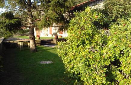 Casa De Crespins Casa de Campo Lda - Foto 13