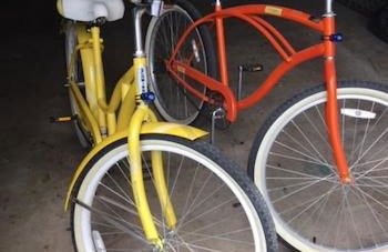 The Blue Pelican - Foto 15