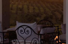 Herdade Terra rica - Photo 16